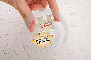 True and lies on missing puzzle