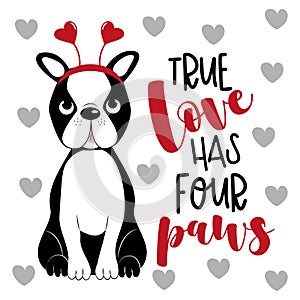 True Love Has Four Paws - phrase with cute Boston terrier.