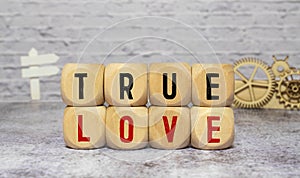 true love - romance concept -isolated text in letterpress wood type blocks