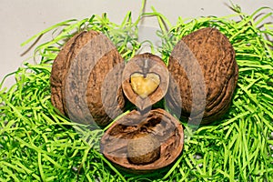 True love is always in the walnuts