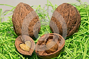 True love is always in the walnuts