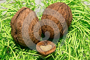 True love is always in the walnuts