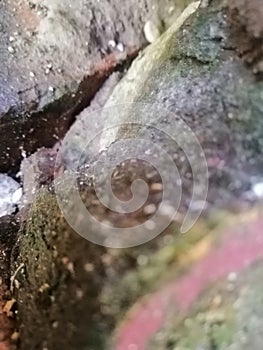 True natural nature stoon from nature make