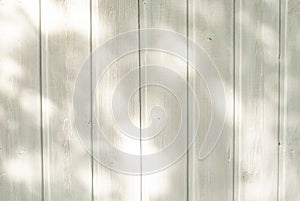 True pure organic wooden background with relief texture. Mockup picture background wall or table of light white color