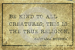 True religion Buddha