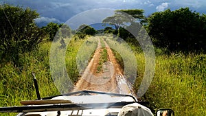 True Safari in Tanzanian wilderness