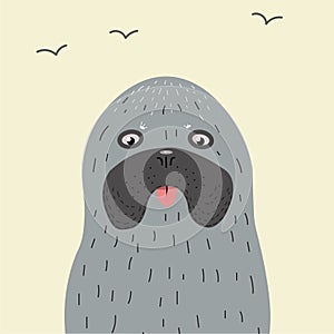 True seal or earless spotted seal - vector hand drawing