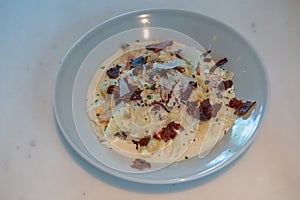 Truffle Alfredo Sauce delicately drizzled on a white plate