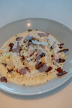 Truffle Alfredo Sauce delicately drizzled on a white plate