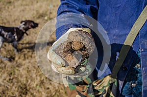 Truffle Hunting in Abruzzo, Italy