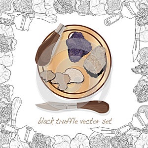 Truffle mushroom illustration on white. Vector image set