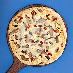 Truffle Mushroom Pizza on blue background, top view