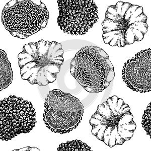 Truffle seamless pattern. Edible mushroom background. Forest fungus sketch. Fungal protein, mycoprotein source. Healthy food and
