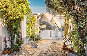 Alberobello Trulli, Apulia, Puglia, Italy photo