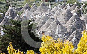 Trulli in Alberobello, Italy photo