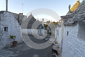 Trulli of Alberobello. View of Trulli houses .The traditional Trulli houses in Alberobello city, Puglia, Italy - Immagine photo