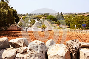 Trulli in the countryside of the Itria valley