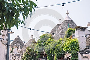 Trulli, traditional Apulian dry stone hut old houses with a conical roof in Alberobello