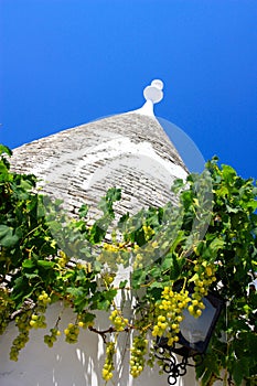 Trullo and grapes