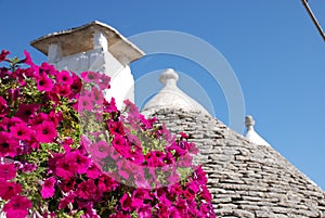 Trullo Roof with Pink Flowers 1