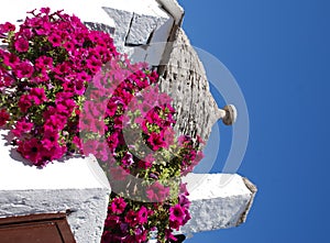 Trullo Roof with Pink Flowers 3