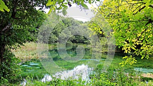 Truly Nature Natural Spring Water with Green Wetland