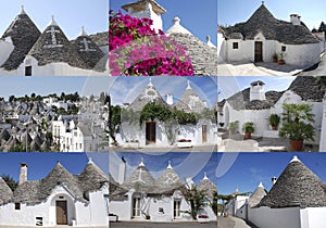 Truly Trulli