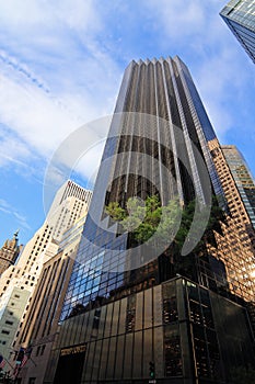 The Trump Tower photo