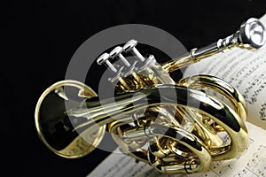 Trumpet photo