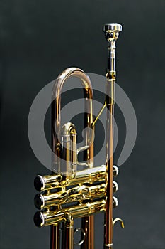 Trumpet