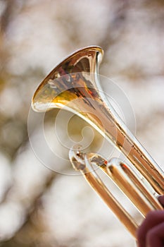 trumpet