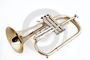 Trumpet flugelhorn Isolated on White
