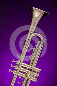 Trumpet Gold Isolated on Purple