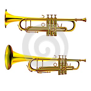 Trumpet isolated object