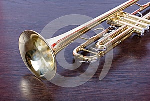 Trumpet music instrument