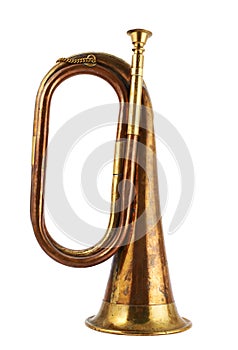 Trumpet musical instrument isolated