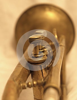 Trumpet piston valves close up
