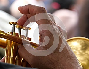 trumpet player photo
