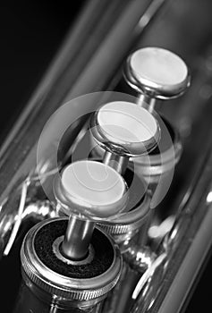 Trumpet Valves