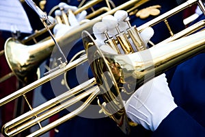 Trumpeter photo