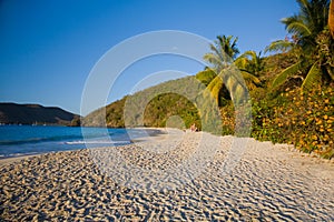 Trunk Bay on the Caribbean Island of St John in the US Virgin Islands