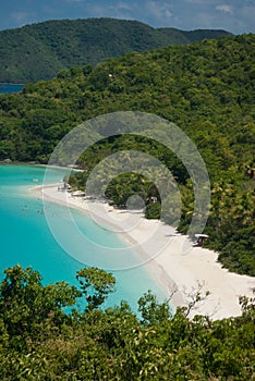 Trunk Bay - Saint John - USVI