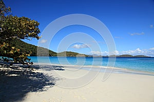 Trunk Bay in St John