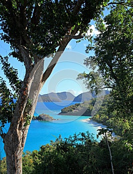 Trunk Bay in St John
