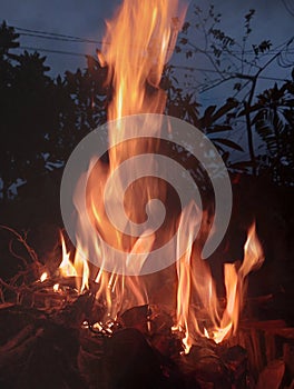 Trunk burning fire at the night