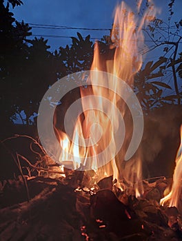 Trunk burning fire at the night