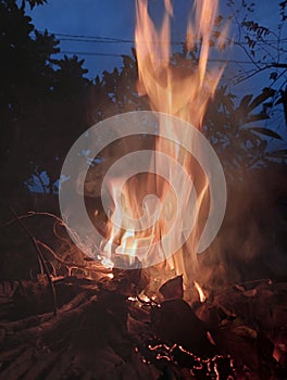 Trunk burning fire at the night