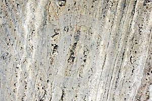 Trunk cutting, Wooden surface background