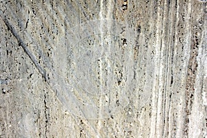 Trunk cutting, Wooden surface background