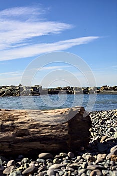 Trunk on the foreshore of a pebbled beach on a sunny day